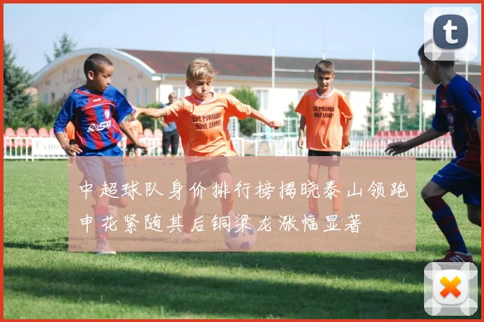 中超球队身价排行榜揭晓泰山领跑申花紧随其后铜梁龙涨幅显著