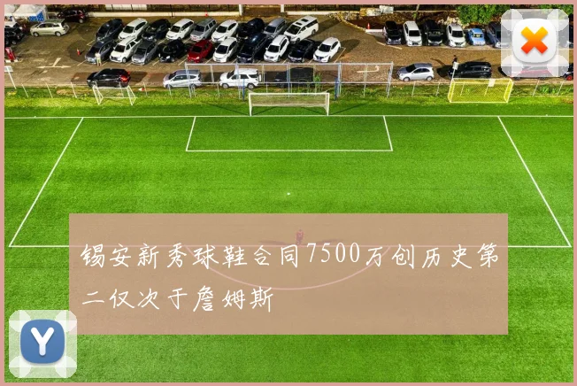 锡安新秀球鞋合同7500万创历史第二仅次于詹姆斯