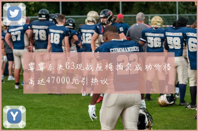 霉霉东决G3观战座椅拍卖成功价格高达47000元引热议